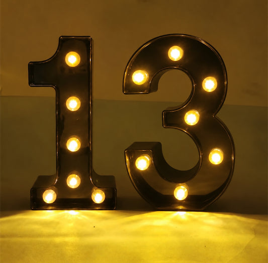 Black 13th Birthday LED Number | 21CM